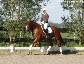 sold-to-the-netherlands-chirlon-x-royal-dance