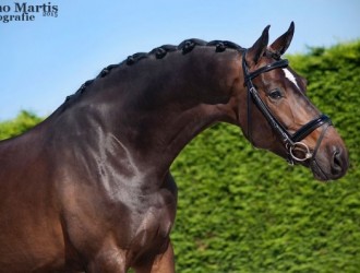 sold-to-the-netherlands-christ-x-gribaldi-x-ferro