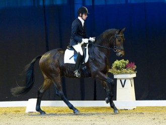 sold-to-the-netherlands-citango-x-mytens