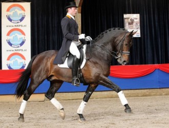 sold-to-germany-contango-x-jazz