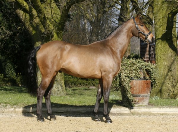 sold-to-france-don-larino-x-rouletto-holst