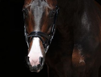 sold-to-swiss-don-romantic-x-rubinstein