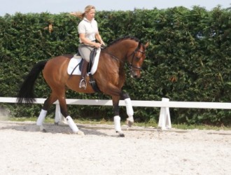 sold-to-france-flemmingh-x-kroongraaf