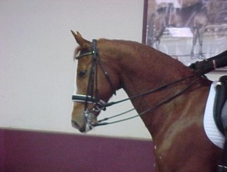 sold-to-finland-gribaldi-x-rubinstein