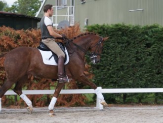 sold-to-belgium-jazz-x-fruhling