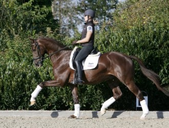 sold-to-austria-jazz-x-voltaire