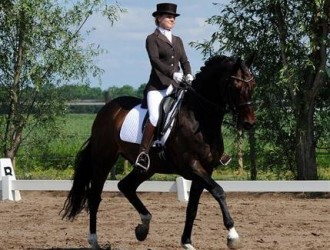 sold-to-the-netherlands-metall-x-purioso