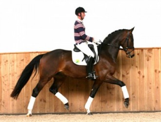 sold-to-austria-negro-x-krack-c