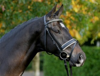 sold-to-england-obelisk-x-voltaire