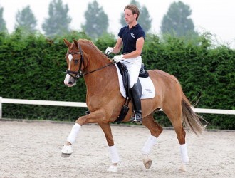 sold-to-the-netherlands-olivi-x-sultan