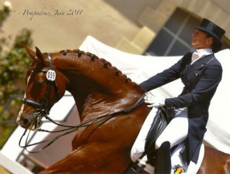 sold-to-belgium-quattro-x-don-gregory