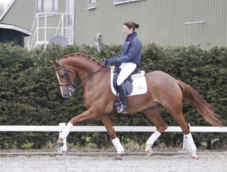 sold-to-the-netherlands-san-remo-x-balzflug