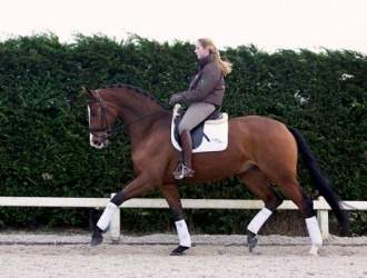 sold-to-germany-sandro-hit-x-florencio