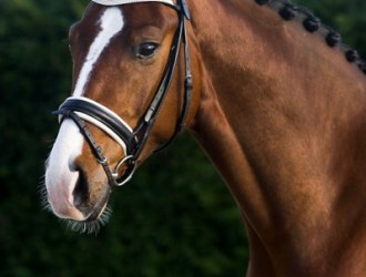 sold-to-germany-sandro-hit-x-florencio