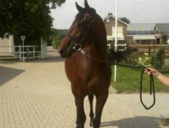 sold-to-czech-republic-spielberg-x-faram