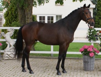 sold-to-france-uphill-x-jazz