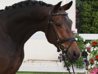 sold-to-france-uphill-x-jazz