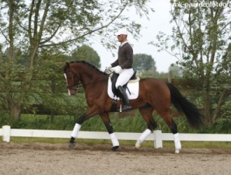 sold-to-the-netherlands-vainquer-x-dutchboy