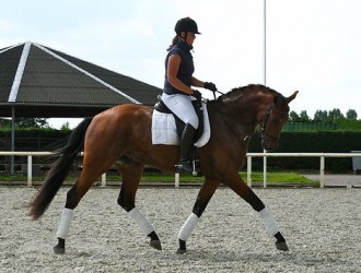 sold-to-the-netherlands-valeron-x-uniform