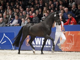 sold-to-the-usa-vivaldi-x-balzflug