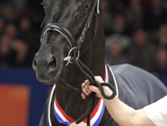 sold-to-the-usa-vivaldi-x-balzflug