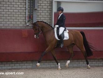 sold-to-the-usa-vivaldi-x-sandro-hit