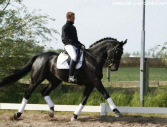sold-to-belgium-welcome-x-purioso