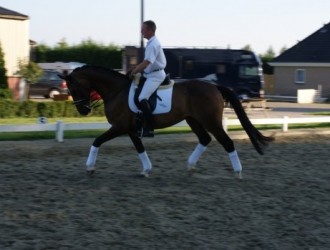 sold-to-the-netherlands-welt-hit-x-thorwald