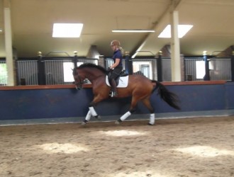 sold-to-monaco-wonderboy-x-prestige
