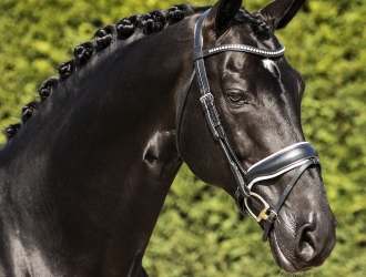 lord-leatherdale-x-ferro