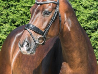 sir-donnerhall-x-weltmeyer